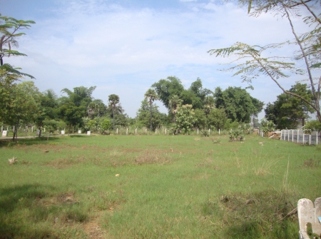 DTCP Approved Plots for Sale Near IIT College Yerpedu